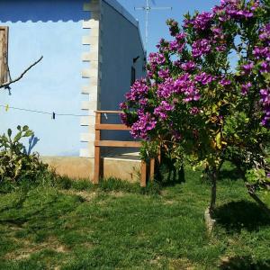 b&b Villa Francesco - 13