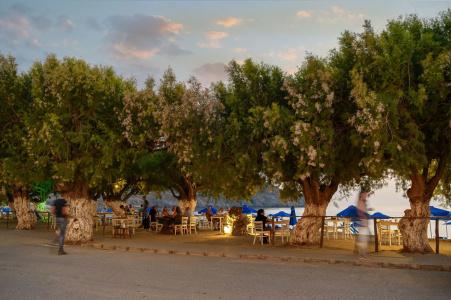 Alianthos Beach - 21