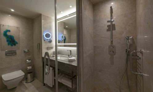 DoubleTree by Hilton Istanbul - Sirkeci - 35
