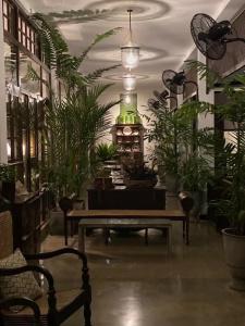 The Postcard Galle - 11
