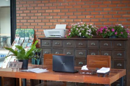 Celosia Chiang Mai - 21