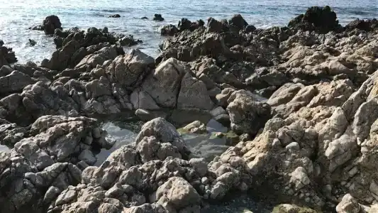 Sea Breeze - 19