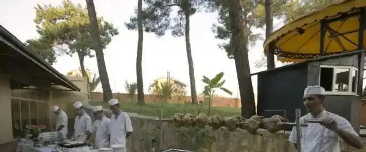 Palm D'or - 21