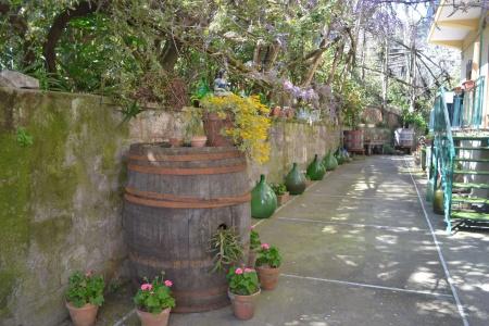 Sorrento Experience - 21