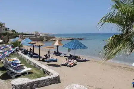 Elexus & Luxury Resort & Spa & Casino - 9