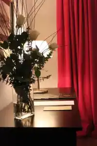 Club Frances - 46