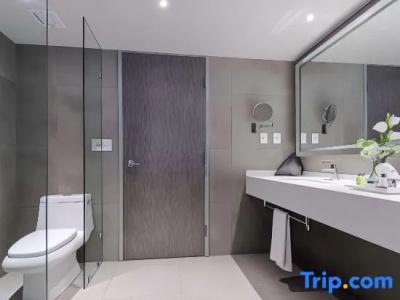 NH Collection Merida Paseo Montejo - 63