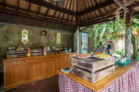 Ubud Aura Retreat - 30