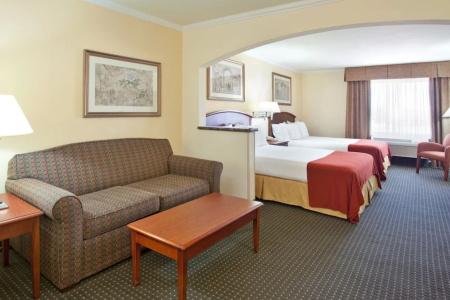 Holiday Inn Express & Suites Tucson Mall, An Ihg - 45