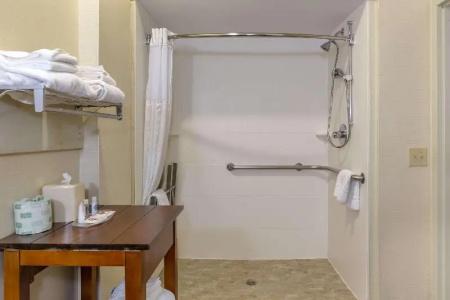 Comfort Suites Walnut Creek - 53
