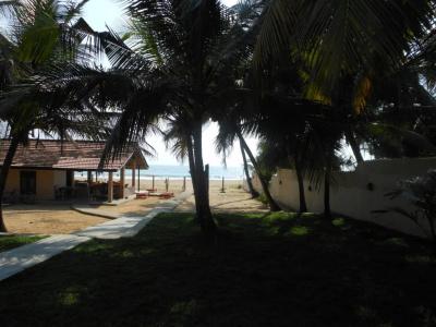 Thiranagama Beach - 7
