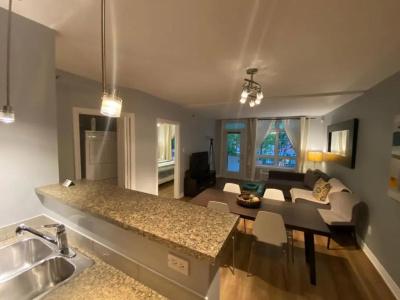 ApartHotelMontreal by Les Terrasses Saint Urbain 2225I2 - 53