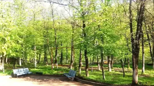 Цахкатун - 15