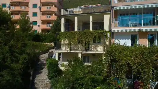Petković - 48