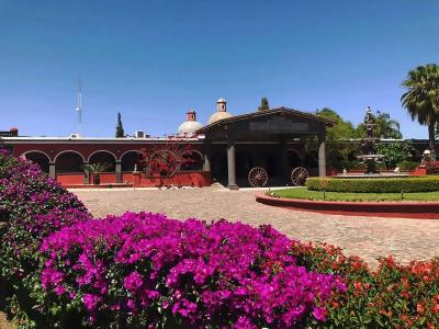 Hacienda Tres Vidas - 18