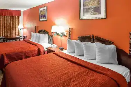 Quality Inn & Suites North - 21