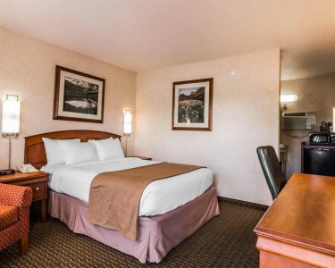 Quality Inn - 29