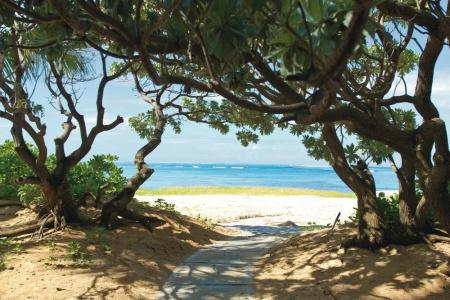 Riu Creole -All Inclusive - 10