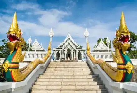 The White Pearl - 14
