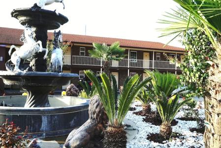 Savannah Inn and Suites - 13