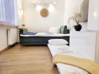 Vivulskio Apart-Hotel - 91