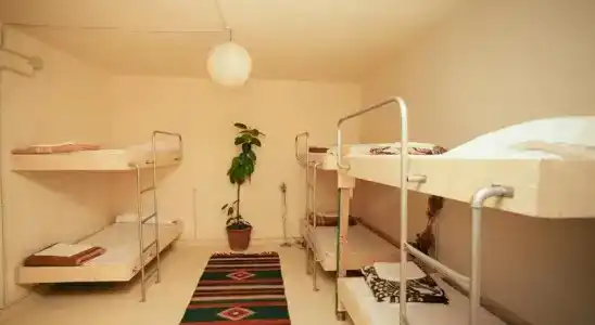 Zig Zag Hostel - 8