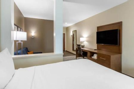 Comfort Suites - South Austin - 44