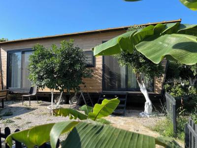 Gaia Tiny Houses Butik - 58
