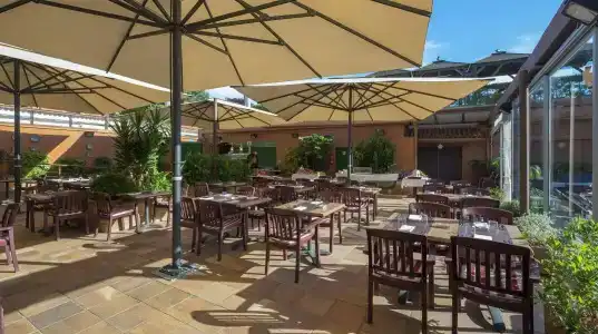 Rosamar & Spa 4*s - 27