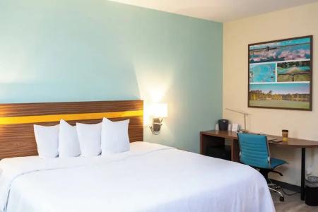 Spot x By Red Collection Orlando International Dr - 42