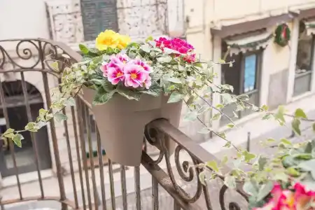 Le Suite Di Giulietta - 63