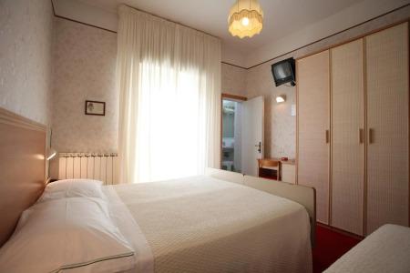 Rondinella e Viola - 2