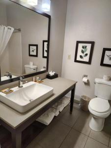 Country Inn & Suites by Radisson, Indianapolis South, IN - 7