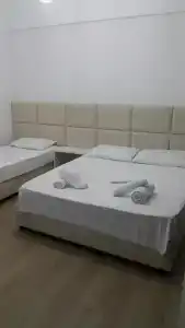 Lepenica - 29