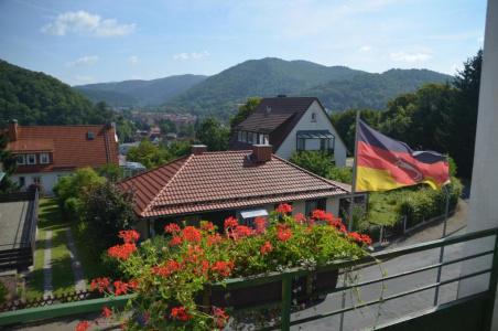 Heikenberg - 5
