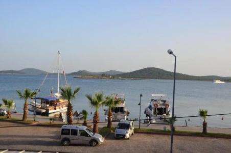 Aliye Hanim - 40