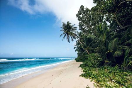 Hilton Seychelles Labriz Resort & Spa - 21