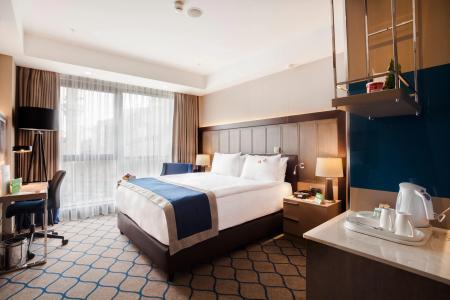 Holiday Inn Kayseri - Duvenonu, an IHG - 24