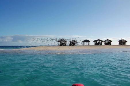 Paradise Island Beach Resort - 17