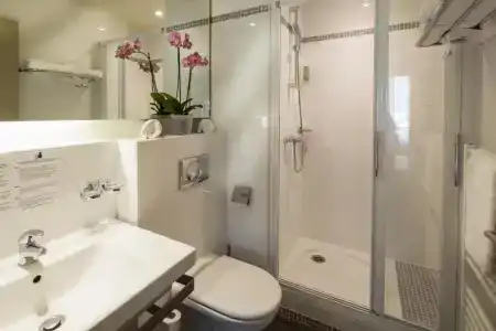 Best Western Plus hôTel De l'Arbois - 74