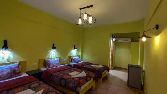 Shams & Dive Centre - 17