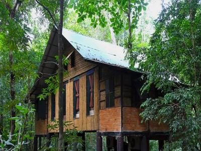 Khao sok tree house resort - 73