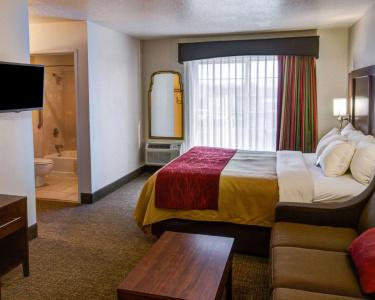 Comfort Inn - 40
