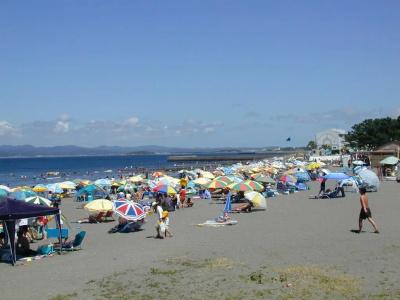 Pension Nanohana - 7