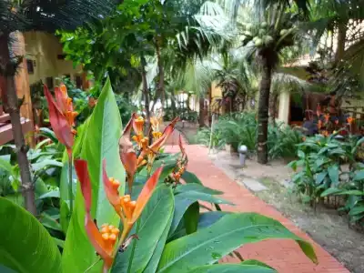 Free Beach Resort - 142