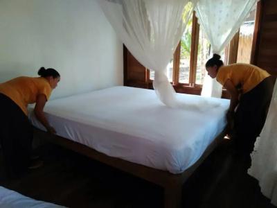 Jungle Koh - 72