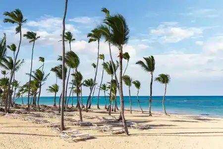 Dreams Punta Cana - 11