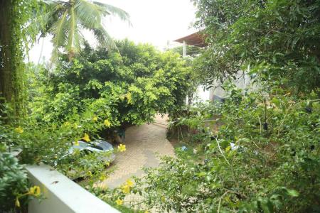 Mount Garden - 9