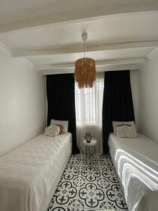 Hayriye Hanim Ege - 40