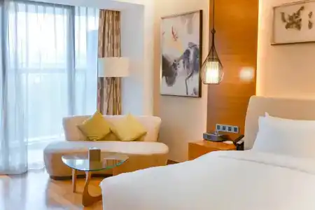 Holiday Inn Nanjing Xuanwu Lake, An Ihg - 58